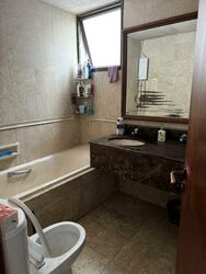 Parc Oasis (D22), Condominium #451647411